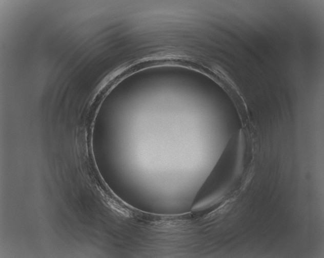 X0000050720781200506151912