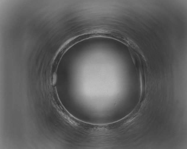 X0000050720784200506151912