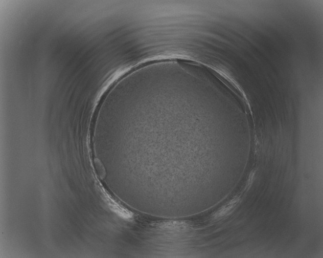 X0000050720797200506151912