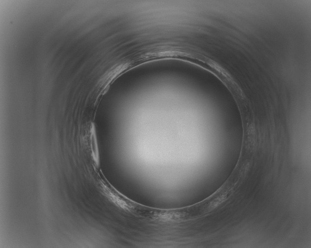 X0000050720801200506151912