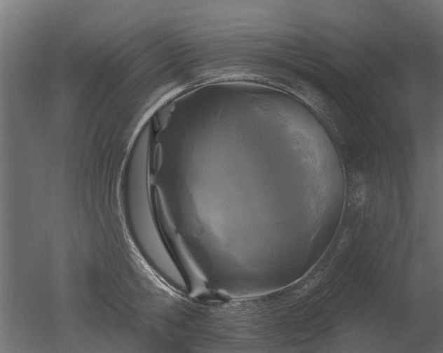 X0000050720806200506151912