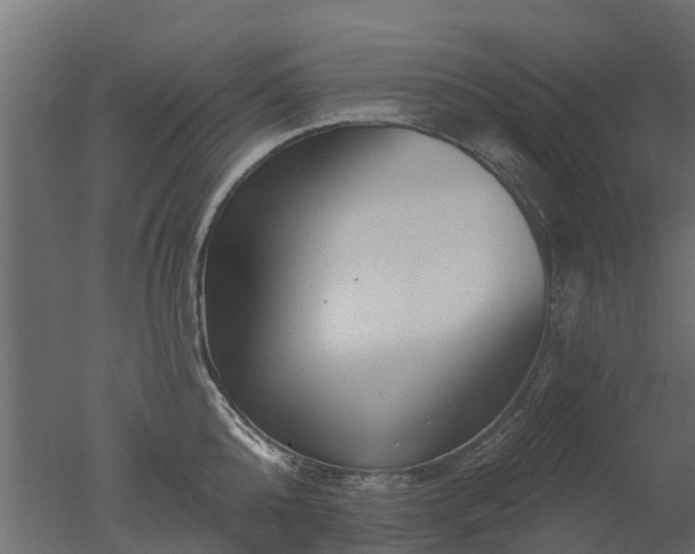 X0000050720808200506151912