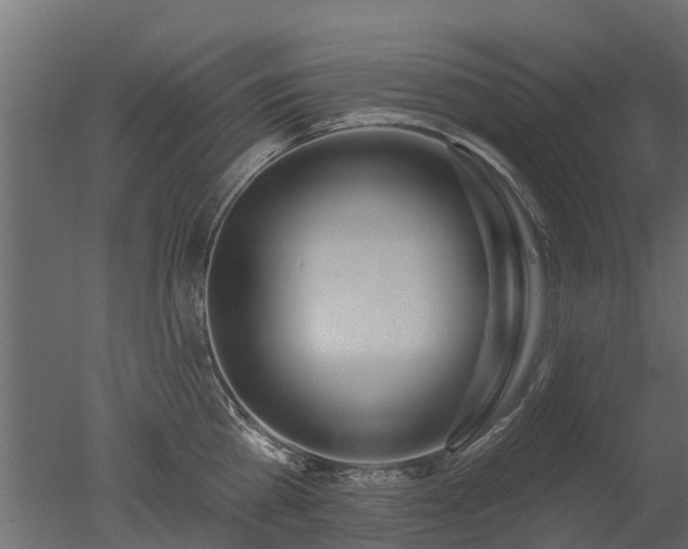 X0000050720809200506151912