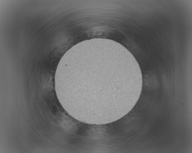 X0000050720820200506151911