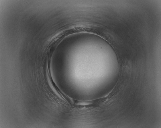 X0000050720822200506151911