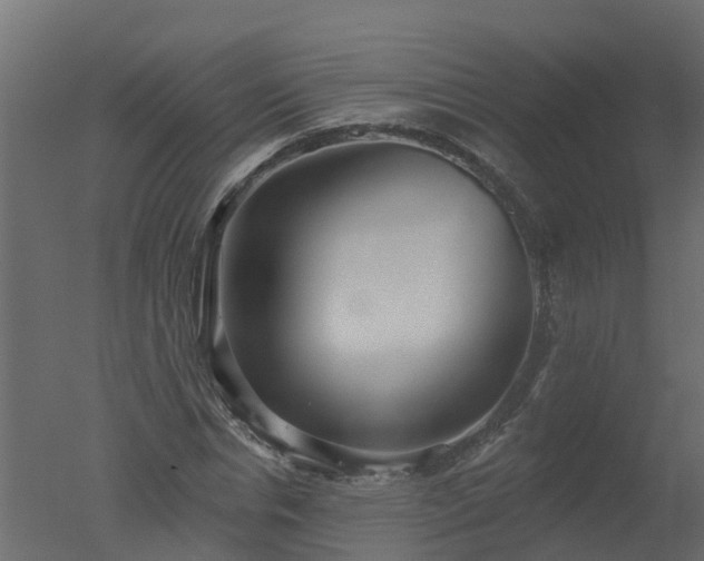 X0000050720826200506151911