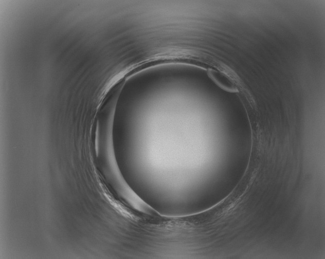 X0000050720842200506151912