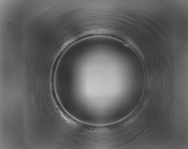 X0000050720845200506151912