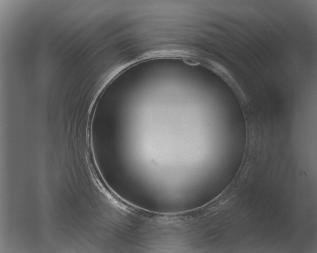 X0000050720852200506151912