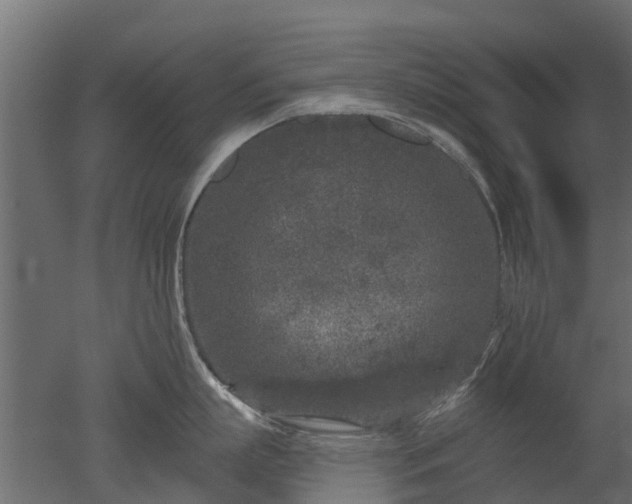 X0000050720863200506151912