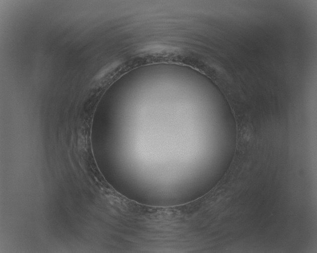 X0000050720869200506151911