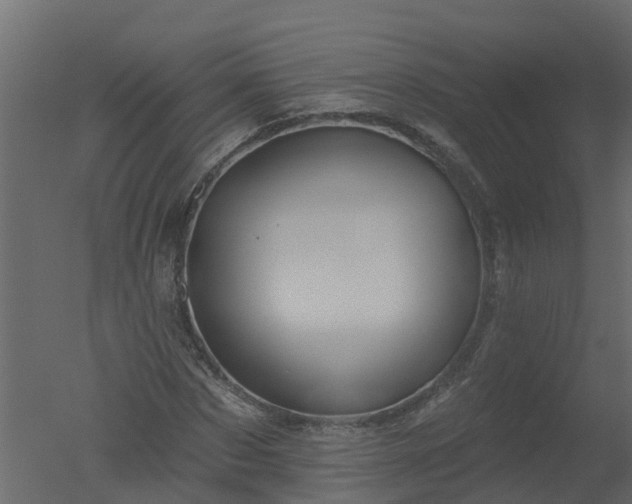 X0000050720873200506151911