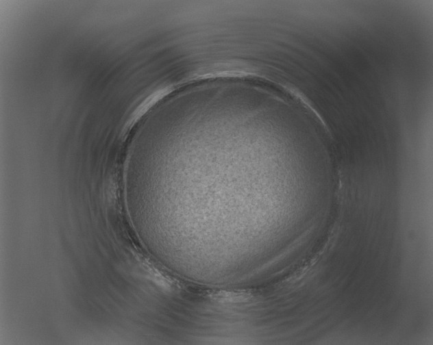 X0000050720874200506151911