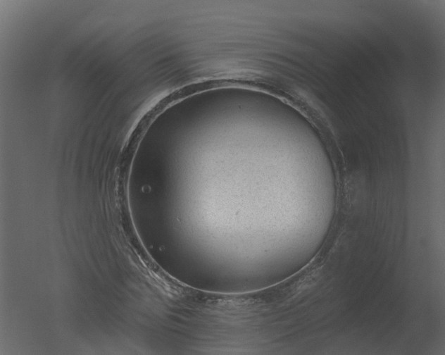 X0000050720875200506151911