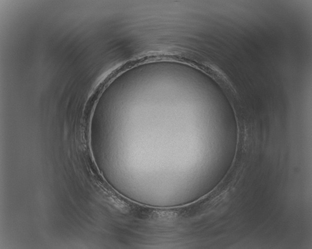 X0000050720878200506151911