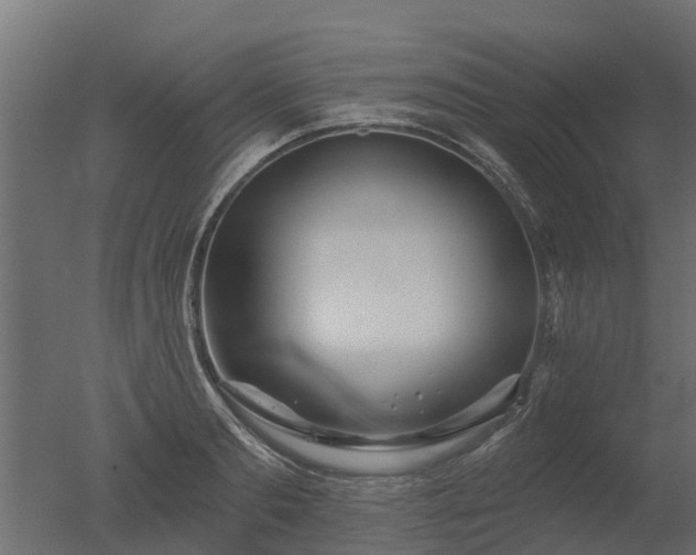 X0000050720893200506151911