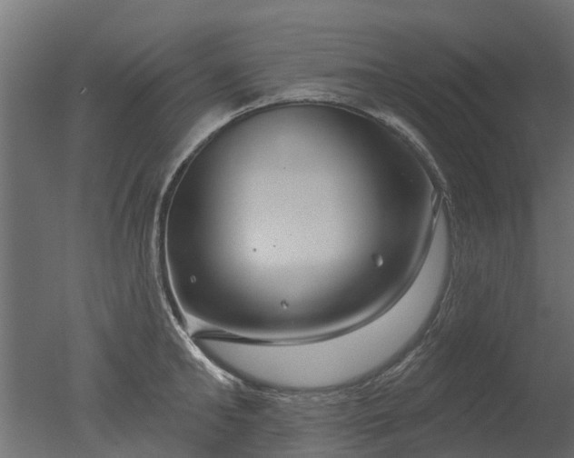 X0000050720902200506151910