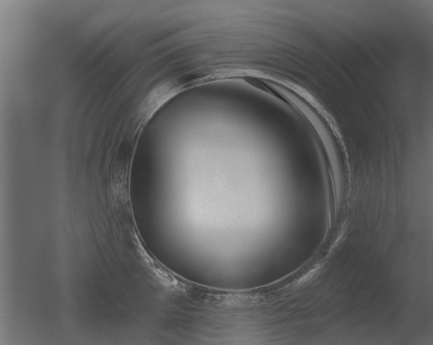 X0000050720905200506151910