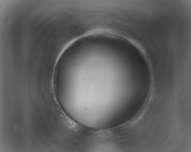 X0000050720912200506151910