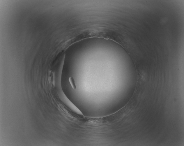 X0000050720914200506151909