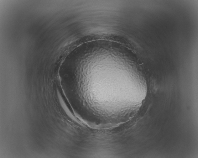 X0000050720917200506151910