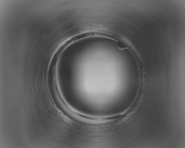 X0000050720924200506151910