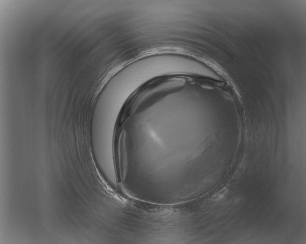 X0000050720945200506151910