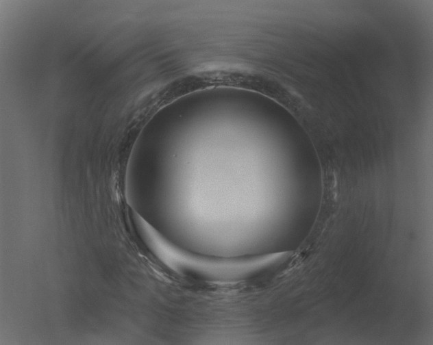 X0000050720965200506151909