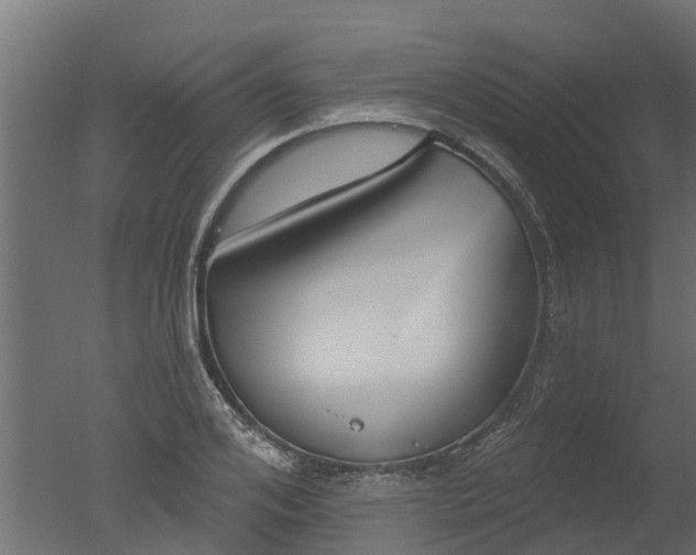 X0000050720984200506151909