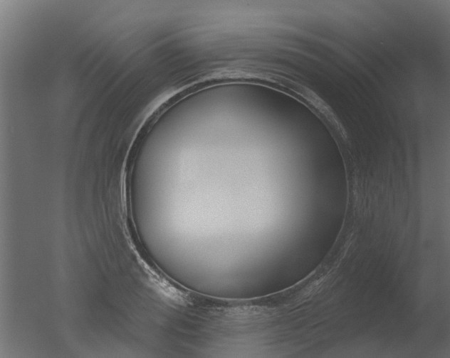 X0000050720988200506151909