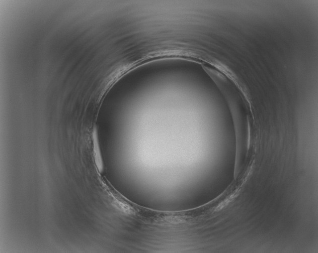 X0000050720993200506151909