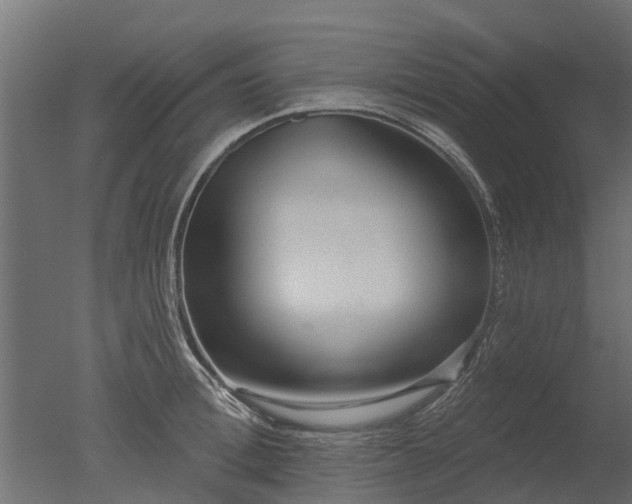 X0000050720996200506151909
