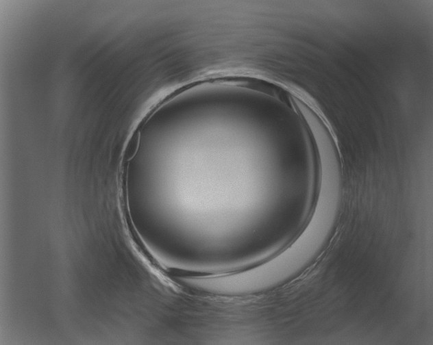 X0000050721005200506151909