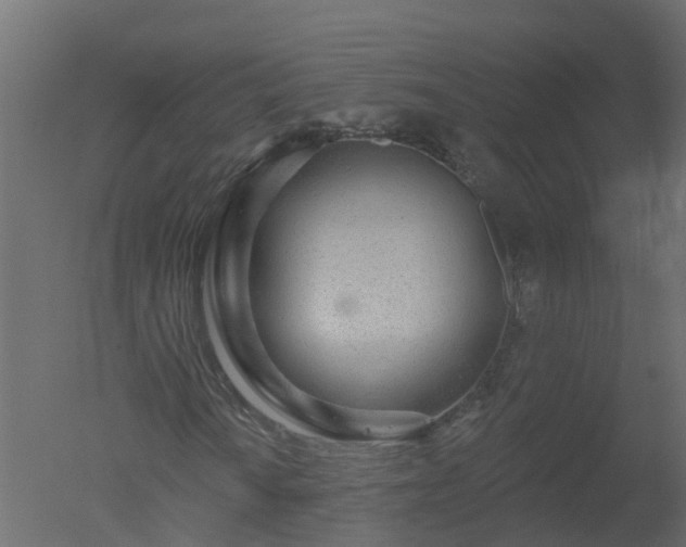 X0000050721010200506151908