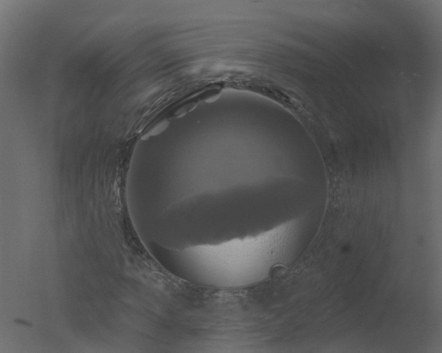 X0000050721013200506151908
