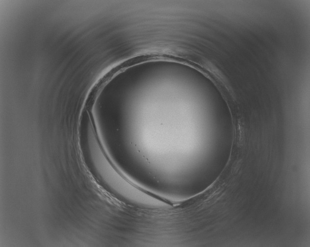 X0000050721020200506151908
