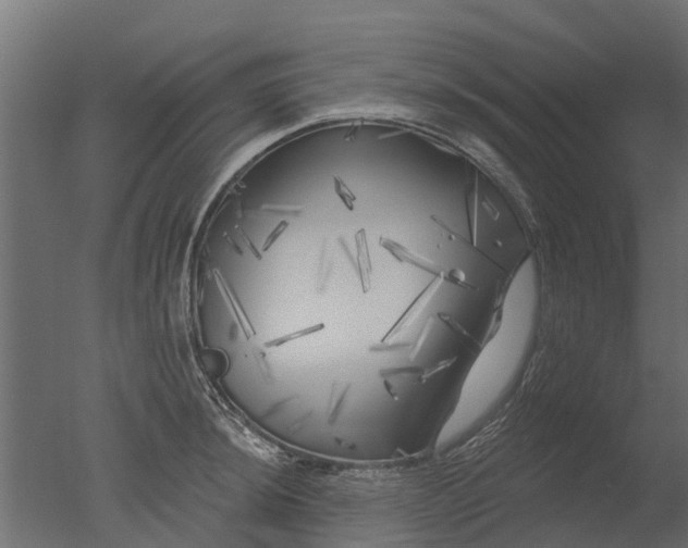 X0000050721044200506151908