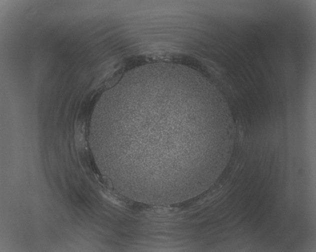 X0000050721060200506151908