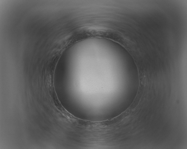 X0000050721061200506151908