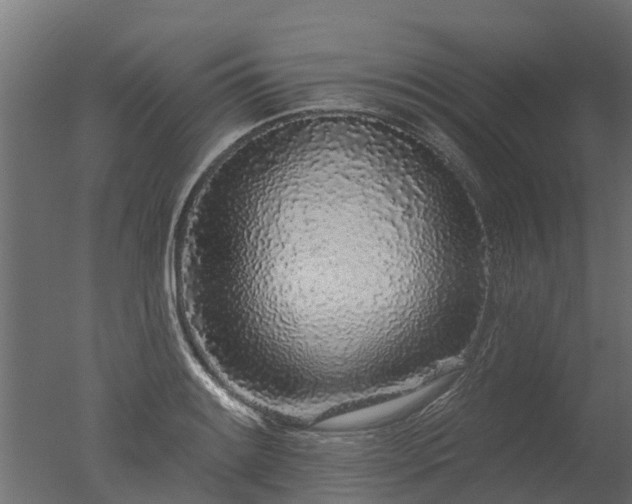 X0000050721084200506151907