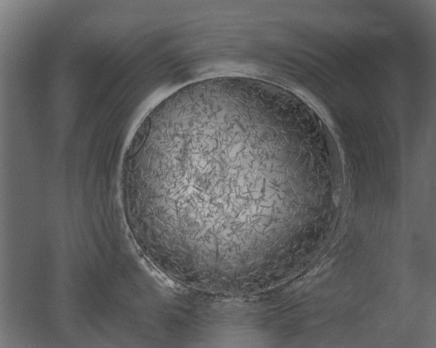 X0000050721104200506151907