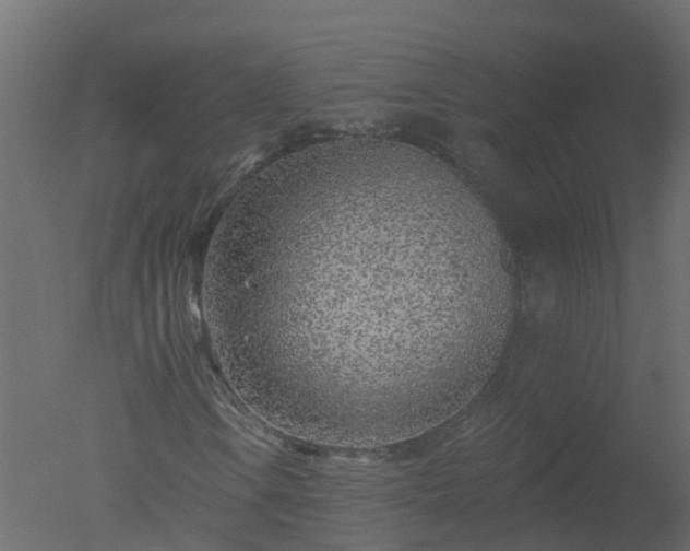 X0000050721106200506151906