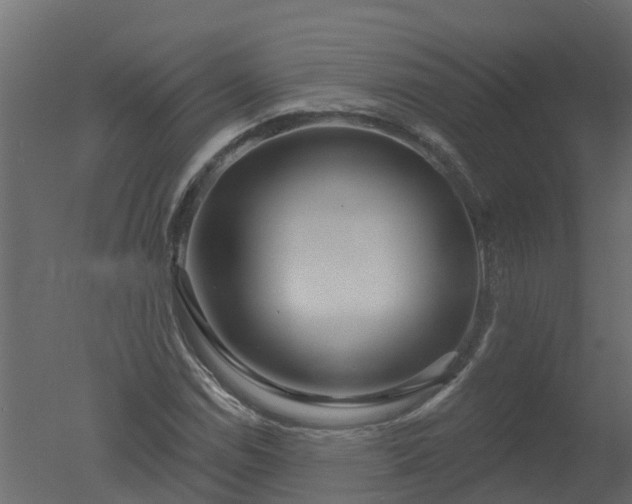 X0000050721114200506151906