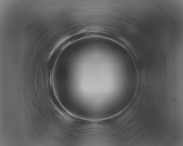 X0000050721115200506151906