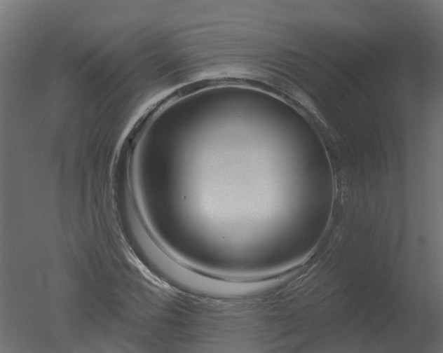 X0000050721116200506151906