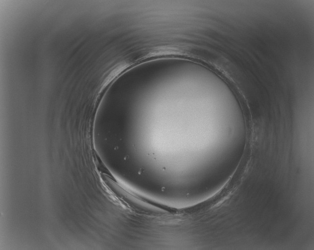 X0000050721137200506151907