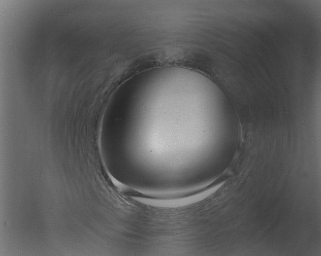 X0000050721153200506151906