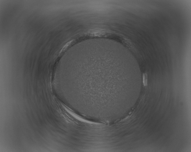 X0000050721155200506151906