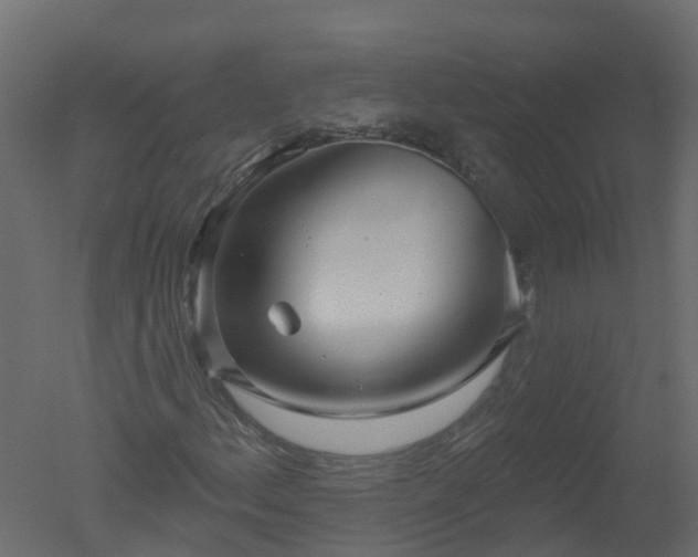 X0000050721156200506151906