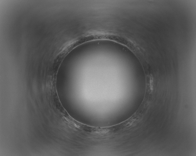 X0000050721157200506151906